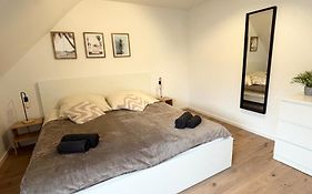 Große Ferienwohnung - Appartment - Zentrum